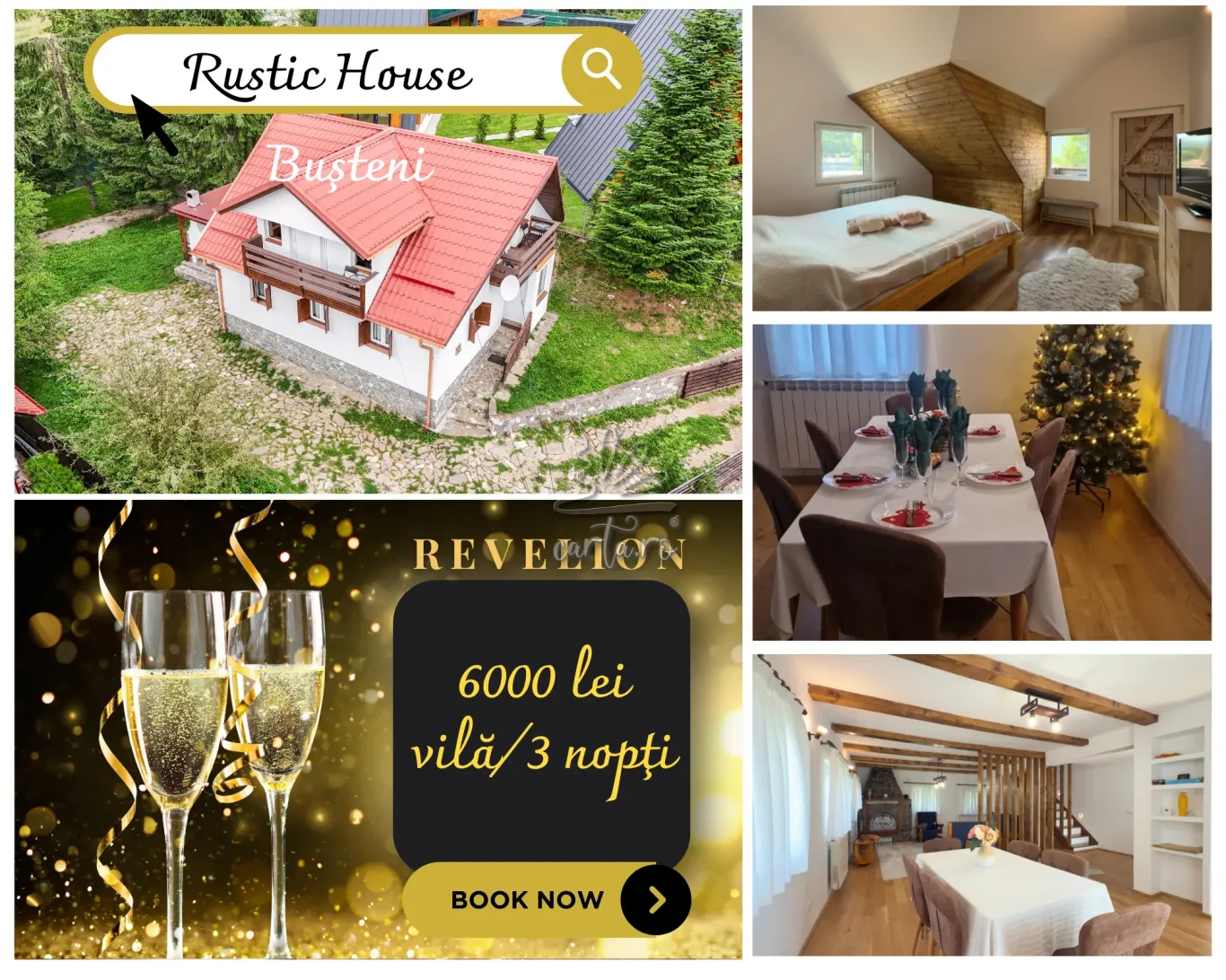 RUSTIC HOUSE